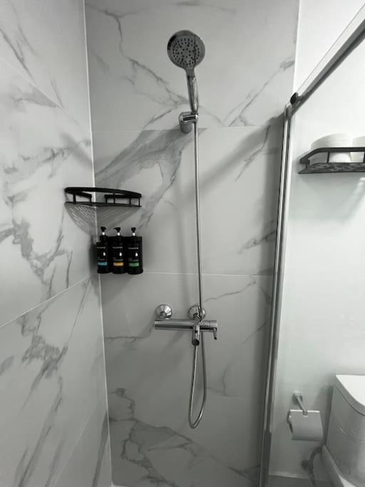 Apartment Matriz Pvz *